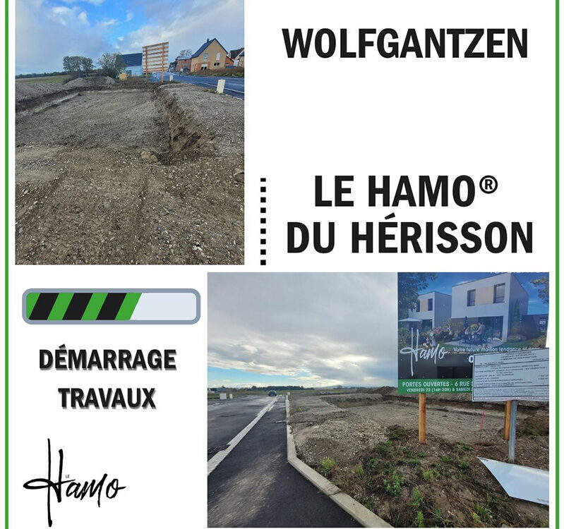 Démarrage travaux des maisons Hamo® à Wolfgantzen Kingersheim